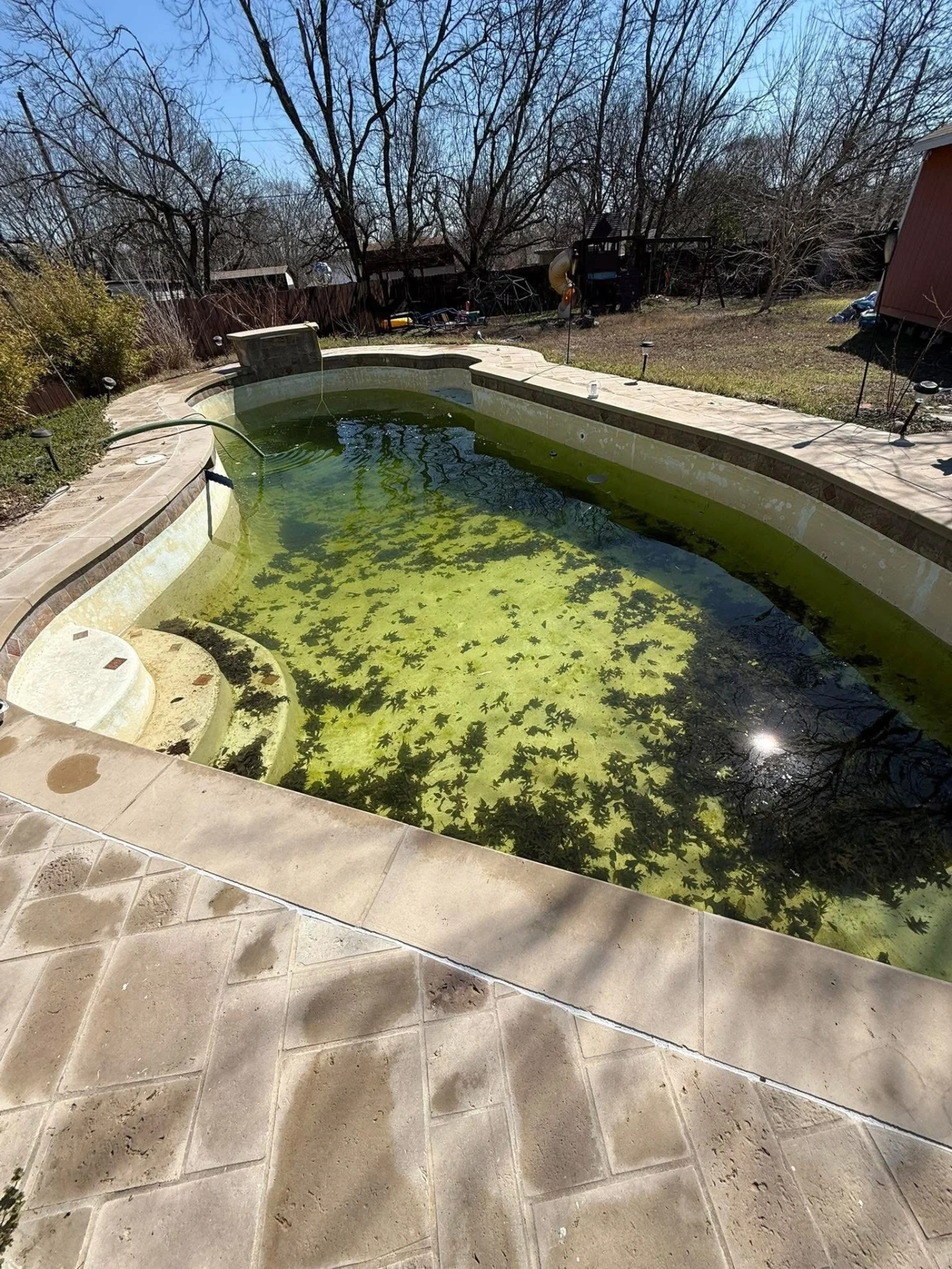 Neglected backyard pool filled with green algae water before remodeling