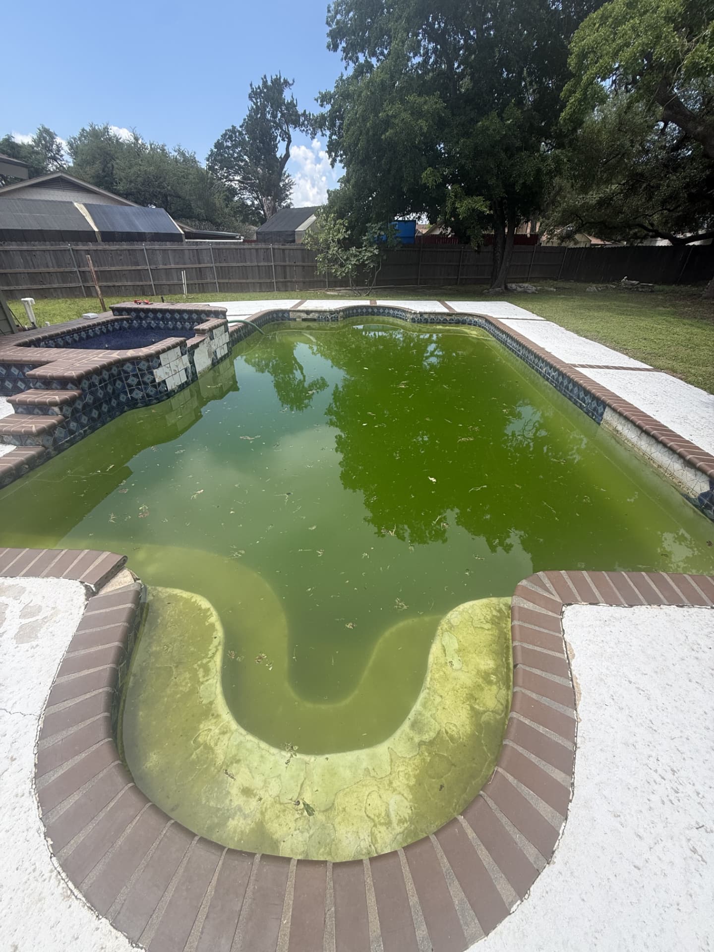 Backyard pool with green algae water before Texas Tide Pool Service